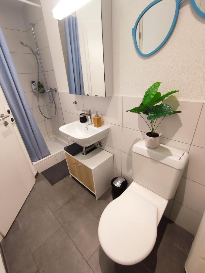 Central-city Penthouse Apartment Bern